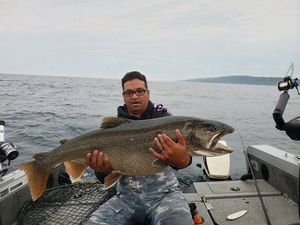 Large Lake Trout caught in Lake Superior